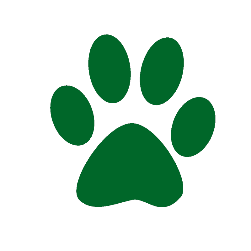 University of Puerto Rico-Mayaguez